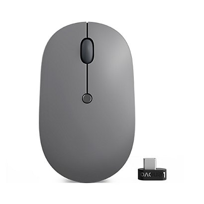Souris sans fil Go GY51C21210